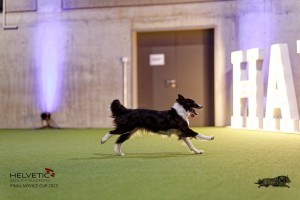1T0A5341_DxO