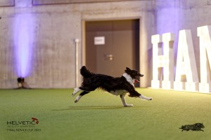 1T0A5342_DxO