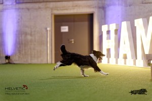 1T0A5343_DxO