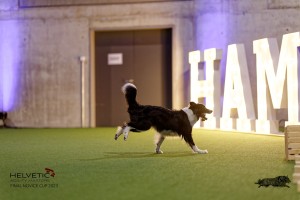 1T0A5344_DxO
