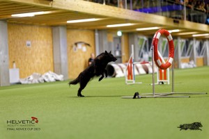 1T0A5354_DxO