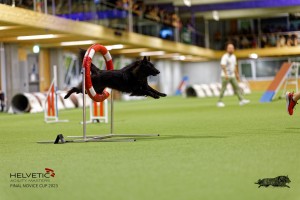 1T0A5360_DxO