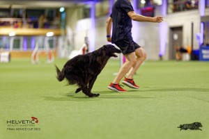 1T0A5373_DxO