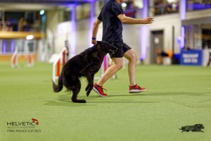 1T0A5374_DxO