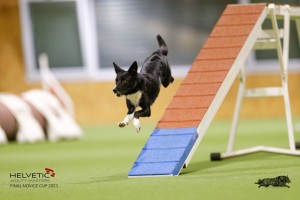 1_EH8A8153_DxO