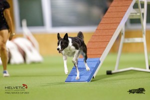 1_EH8A8182_DxO