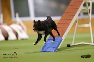 1_EH8A8669_DxO