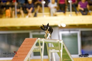EH8A8102_DxO