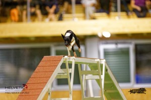 EH8A8105_DxO