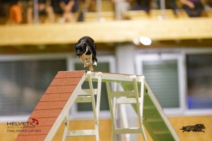 EH8A8107_DxO