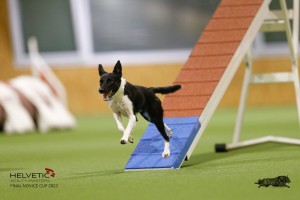 EH8A8118_DxO