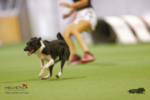 EH8A8131_DxO
