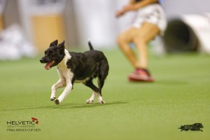 EH8A8132_DxO