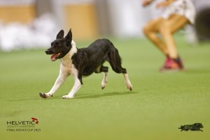 EH8A8133_DxO