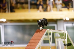 EH8A8143_DxO