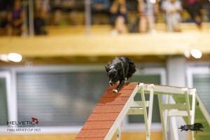 EH8A8144_DxO
