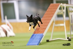 EH8A8152_DxO