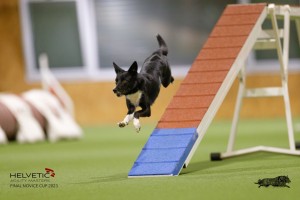 EH8A8153_DxO