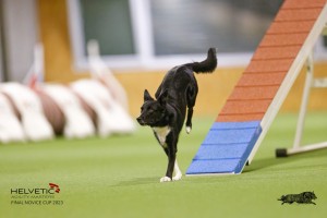 EH8A8155_DxO