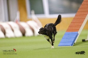 EH8A8156_DxO