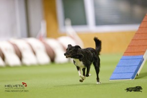 EH8A8157_DxO
