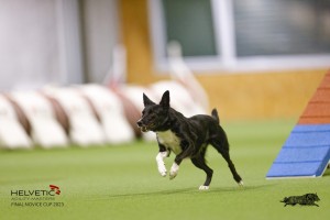 EH8A8158_DxO