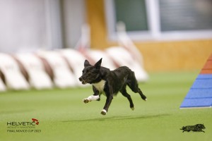 EH8A8159_DxO