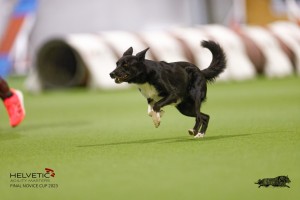 EH8A8163_DxO