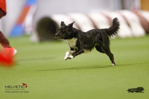 EH8A8164_DxO