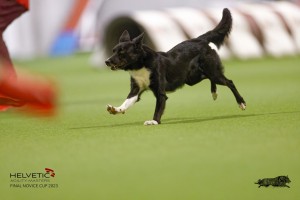 EH8A8165_DxO