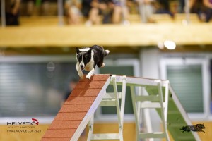 EH8A8174_DxO