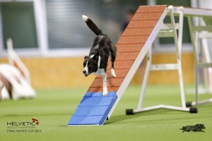 EH8A8180_DxO
