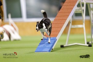 EH8A8181_DxO