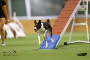 EH8A8182_DxO