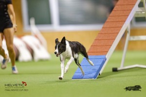 EH8A8183_DxO