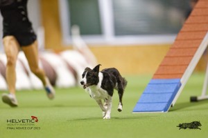 EH8A8185_DxO