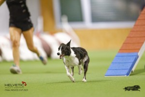 EH8A8186_DxO