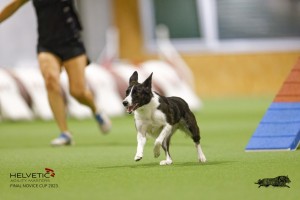EH8A8187_DxO