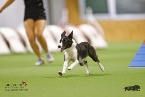 EH8A8188_DxO