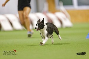 EH8A8189_DxO