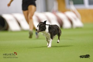 EH8A8190_DxO