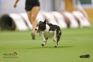 EH8A8191_DxO