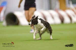EH8A8192_DxO