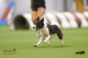 EH8A8193_DxO