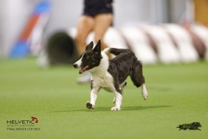 EH8A8194_DxO