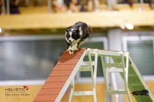 EH8A8204_DxO