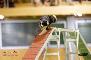 EH8A8205_DxO