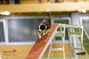 EH8A8207_DxO
