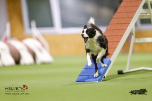 EH8A8212_DxO