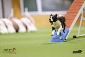 EH8A8213_DxO